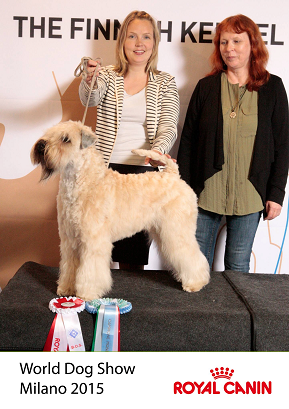 JWW-15 & BOS at World Dog Show, Milan Italia (16 kk/months) photo FKC
