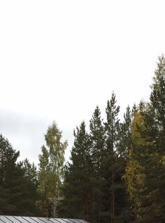 Vehnäpellon IIK Ihana