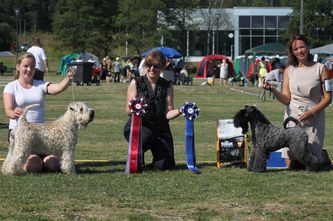 BEST IN SHOW @ Speciality