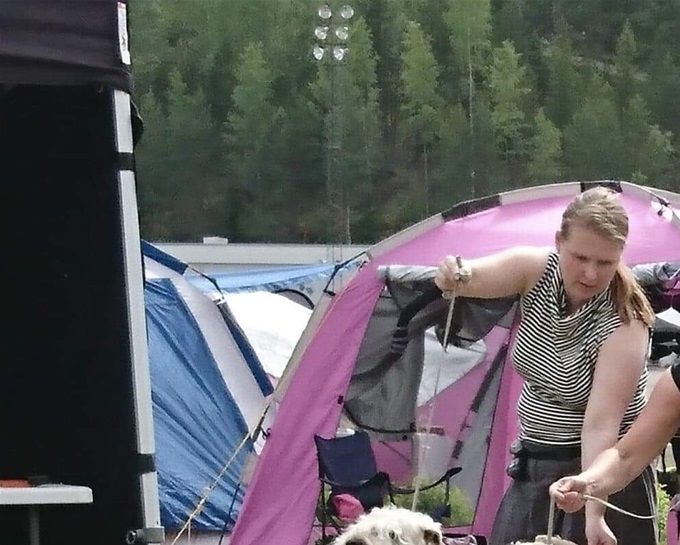 BIS kasvattaja K&V Erikoisnäyttely 2019